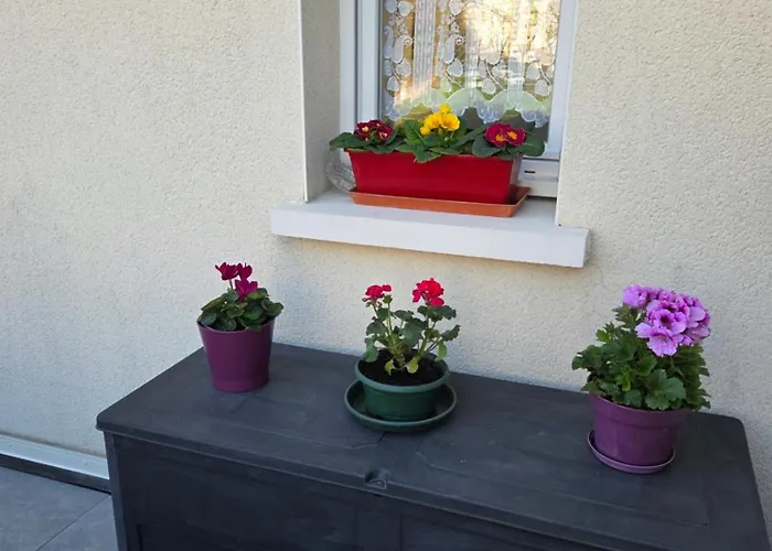 Duplex Le Bon - Appartement *