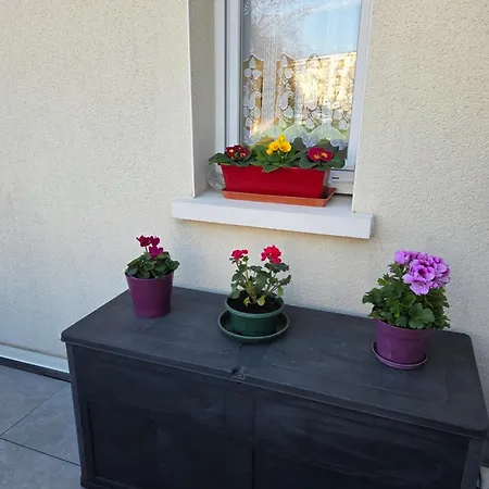 Duplex Le Bon Sejour - Lejlighed *